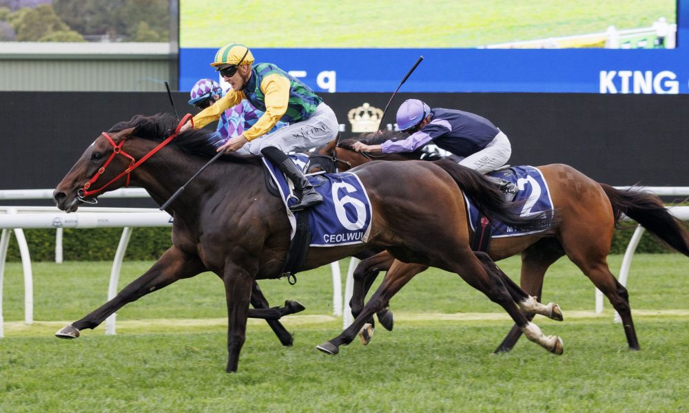 形的精神力 形的精神力